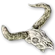 Crâne de vache