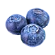 Myrtilles
