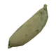 Yucca