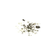 Débris de verre 01