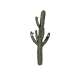 Cactus 01