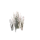 TreeGrassMaster