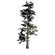 TreeMasterGrowing