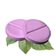 Antibiotiques naturels