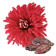Chrysanthème