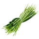 Fibres végétales