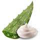 Pommade d'aloe vera